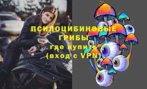 ГАЛЛЮЦИНОГЕННЫЕ ГРИБЫ Заволжск