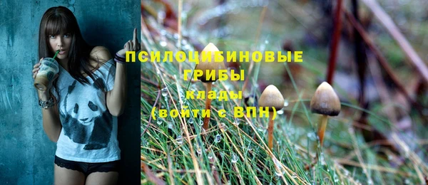 мет Заводоуковск