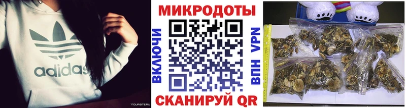 Галлюциногенные грибы Cubensis что такое наркотик Ирбит